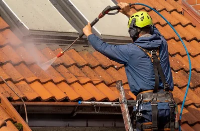 Démoussage et hydrofuge de toiture à Roquestéron